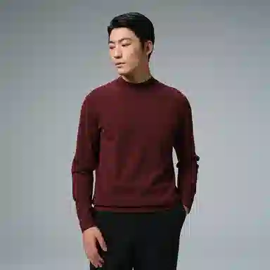 利郎 品位商务纯色半高领保暖可机洗质感冬季毛衣 男款