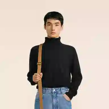 速写 羊毛修身内搭高领简约舒适保暖时尚休闲纯色厚款长袖毛衣 男款