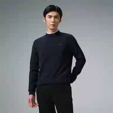 利郎 品位商务纯色半高领保暖可机洗质感冬季毛衣 男款