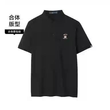 HLA IP POLO