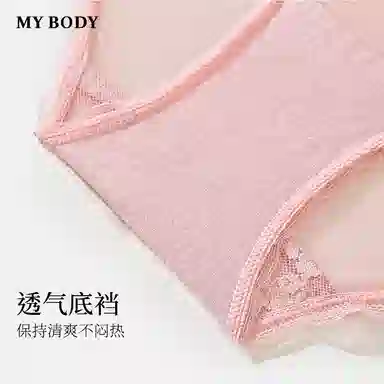 MY BODY Romantic Sheer Triangle Panties