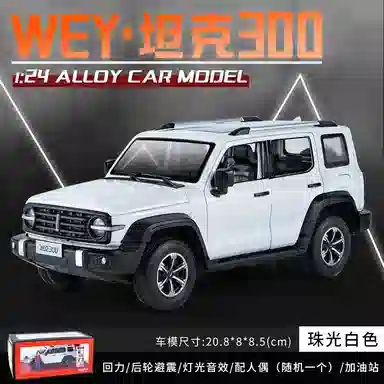 TY MODELS 300 124