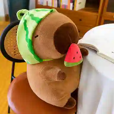 25cm35cm45cm55cm