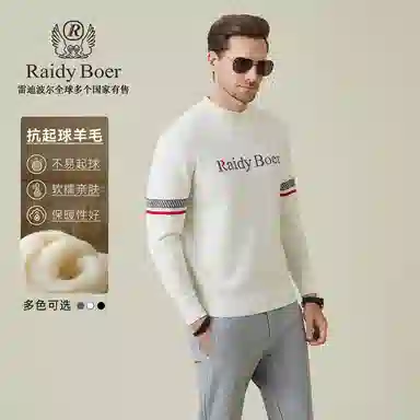 Raidy Boer logo
