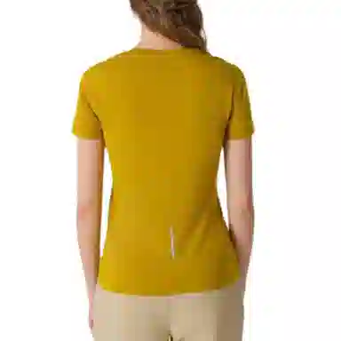 NORTHLAND PROFESSIONAL T