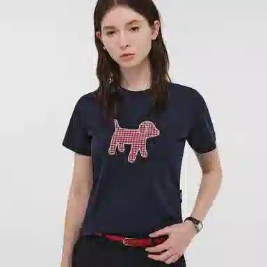 PCLP T