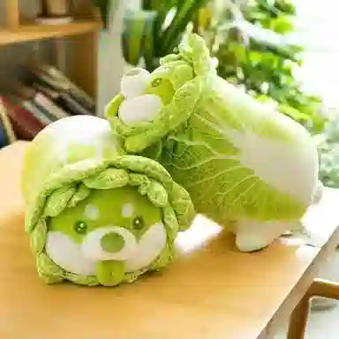 30cm40cm50cm60cm