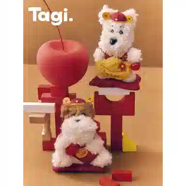 Tagi. 12cm15cm