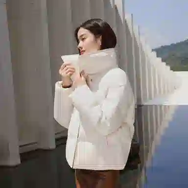 波司登 鹅绒立领短款厚款纯色面包服羽绒服 女款