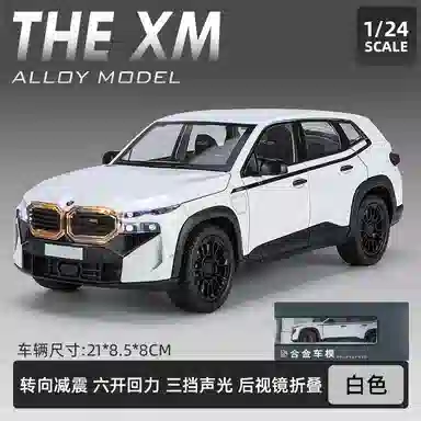 TY MODELS BWM THE XM 124