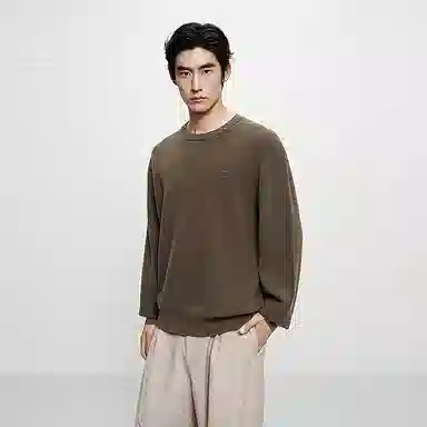 PEACEBIRD MEN Wool Pullover Sweater