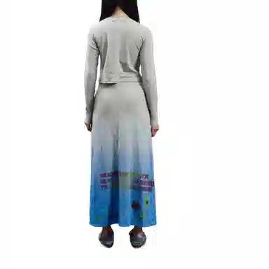 THE MUSEUM VISITOR T