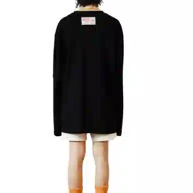 THE MUSEUM VISITOR T