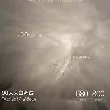 PEACEBIRD MEN Black Gold Down Jacket