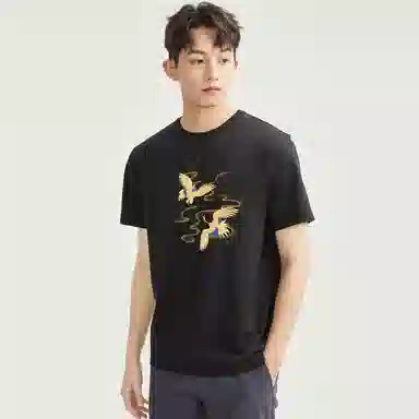 T