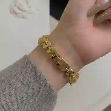sopi