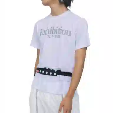 THE MUSEUM VISITOR T