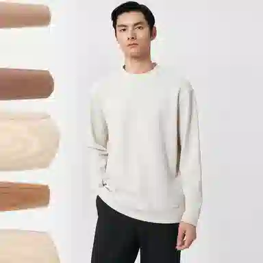 EHE T