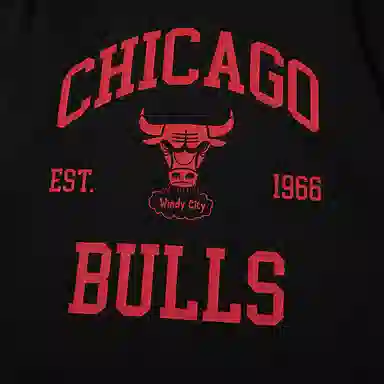 Mitchell Ness x NBA NEW VINTAGE HO25 T