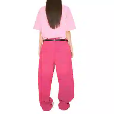 THE MUSEUM VISITOR T