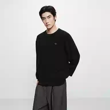 PEACEBIRD MEN Wool Pullover Sweater