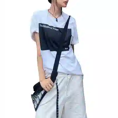 THE MUSEUM VISITOR T