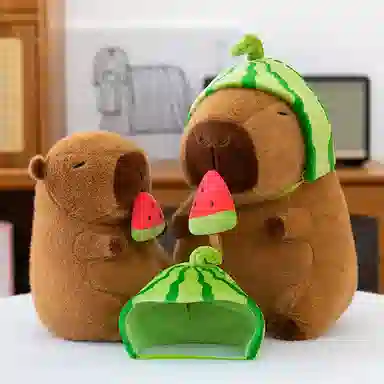 25cm35cm45cm55cm