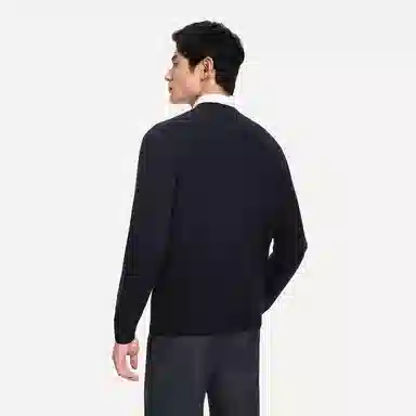 GOLDLION V-Neck Sweater