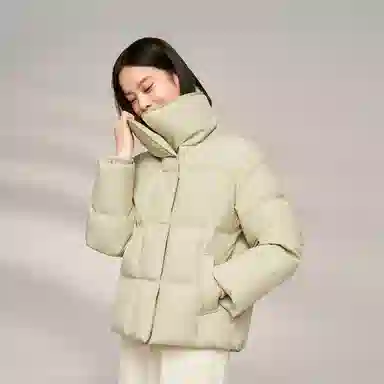 波司登 鹅绒立领短款厚款纯色面包服羽绒服 女款