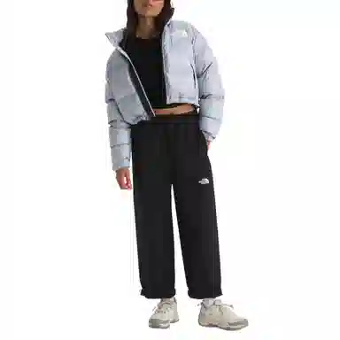 THE NORTH FACE Nuptse 700