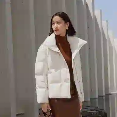 波司登 鹅绒立领短款厚款纯色面包服羽绒服 女款