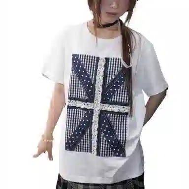 THE MUSEUM VISITOR T