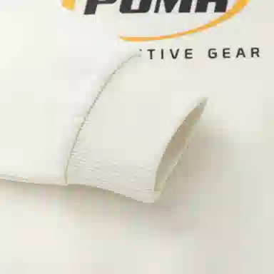 PUMA 2