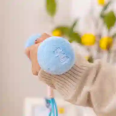 WADORN 20cm16cm