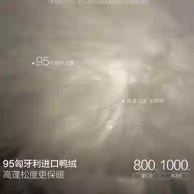 PEACEBIRD MEN 0D Down Jacket