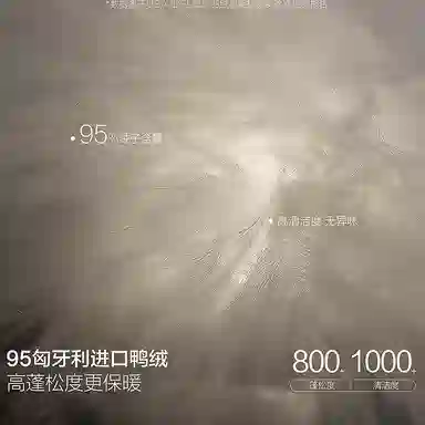 PEACEBIRD MEN 0D Down Jacket