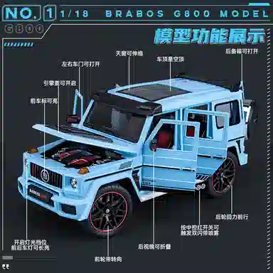 TY MODELS G800 118