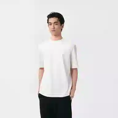 EHE T