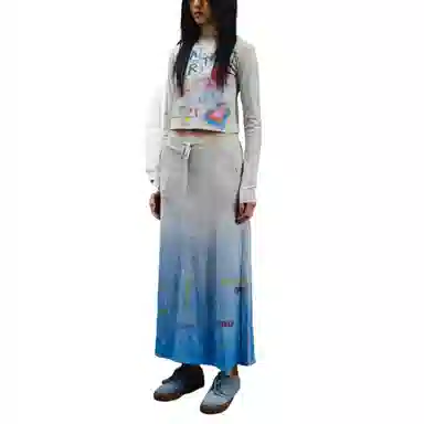 THE MUSEUM VISITOR T