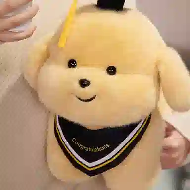 20cm23cm33cm40cm30cm