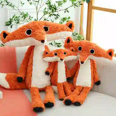 CANEXT 40cm60cm