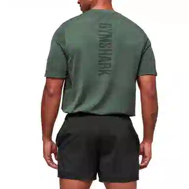 GYMSHARK Lightweight Seamless T-Shirt T