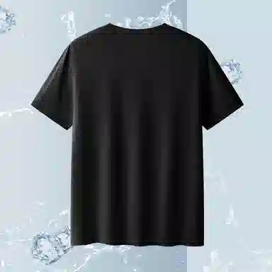 SUNDANCE T