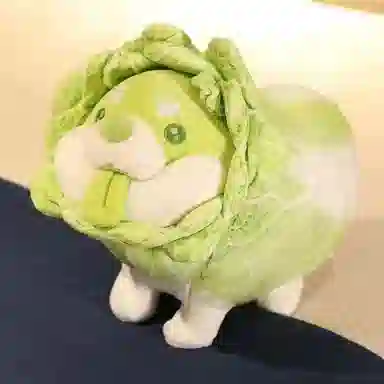 30cm40cm50cm60cm