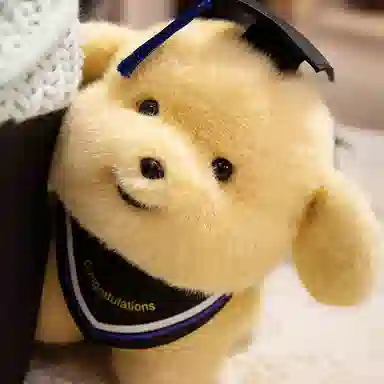 20cm23cm33cm40cm30cm