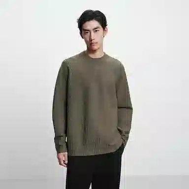 PEACEBIRD MEN Pullover Sweater