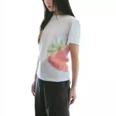 THE MUSEUM VISITOR T