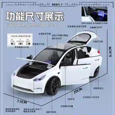 TY MODELS Model Y 124