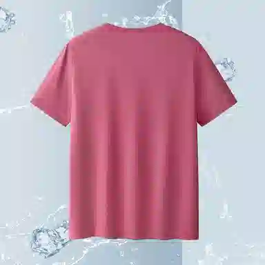 SUNDANCE T