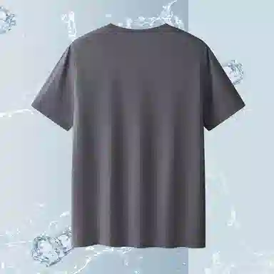 SUNDANCE T